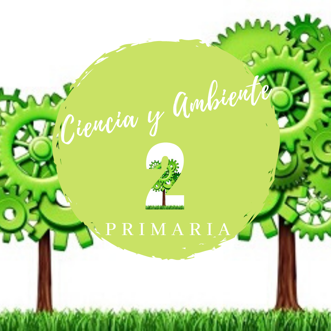 Ciencia y Ambiente 2